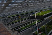 晉土地網頁與網站設計之道